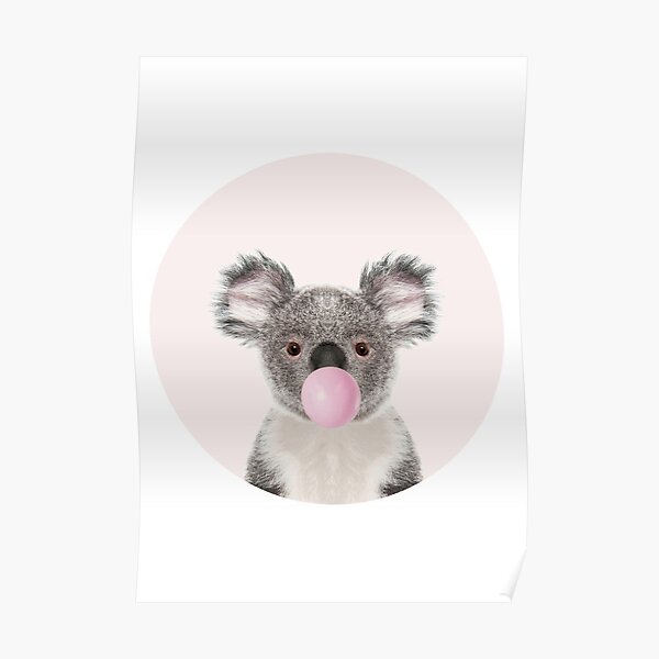Oso de koala con chicle Póster