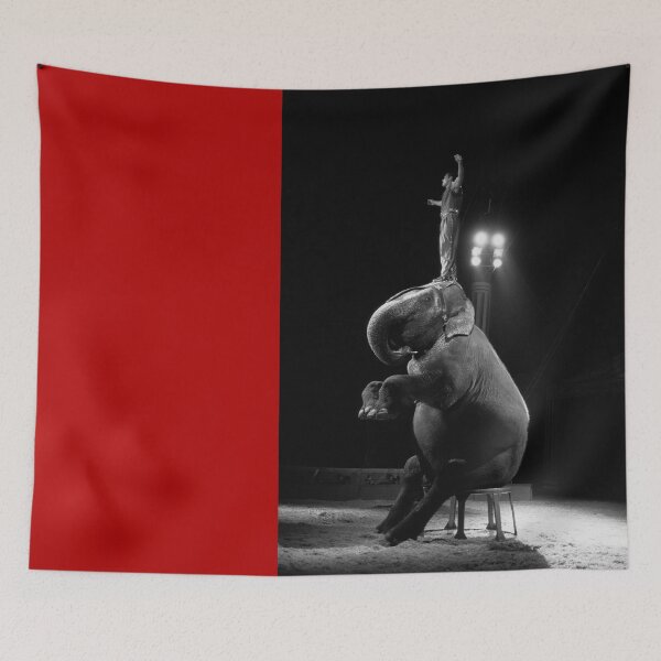 Item preview, 2007 L'elefante del Circo Roma designed and sold by robertoferrero.