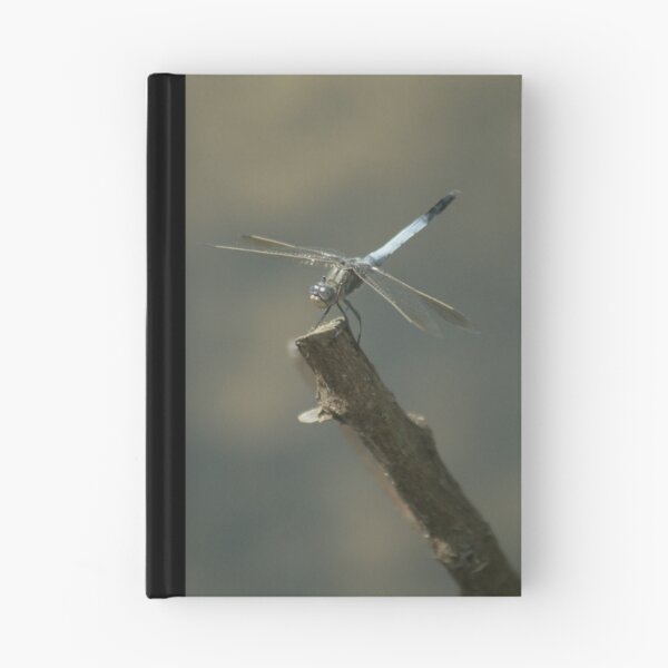 Item preview, Metallic Eyes - Dragonfly designed and sold by HeidiForeman.