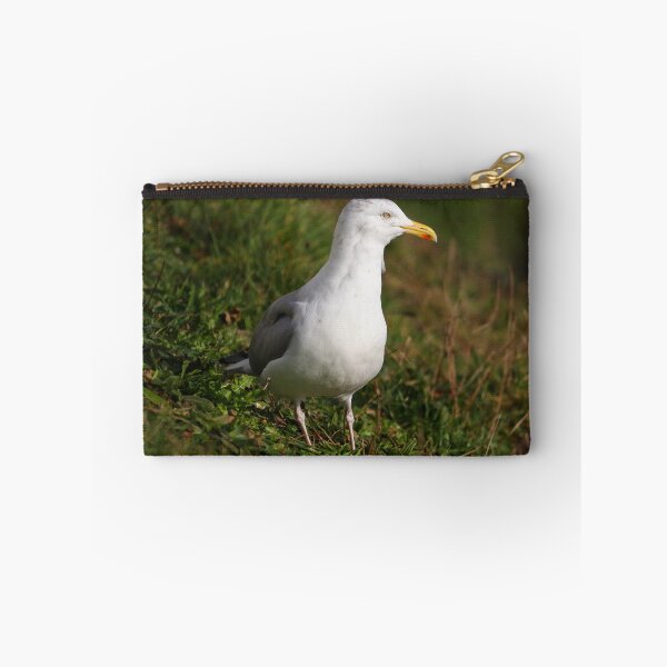 Item preview, Herring Gull designed and sold by GreyFeatherPhot.