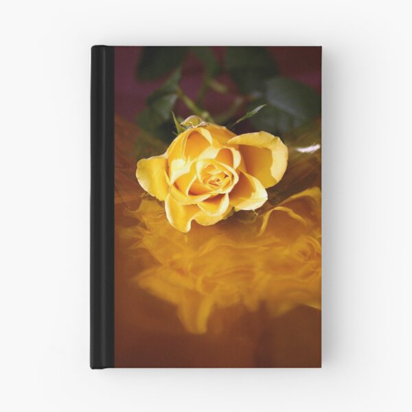 Artikelvorschau, yellow rose on cellophane entworfen und verkauft von Anna Goodchild.