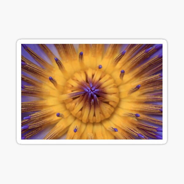 Eye of the Lotus Sticker