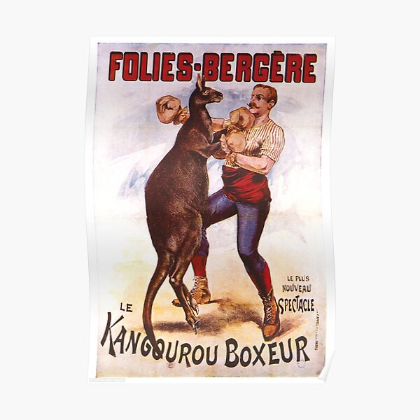 Vintage Kangaroo Boxing Poster Poster