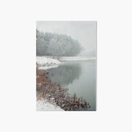 Winter Haiku Art Board Print