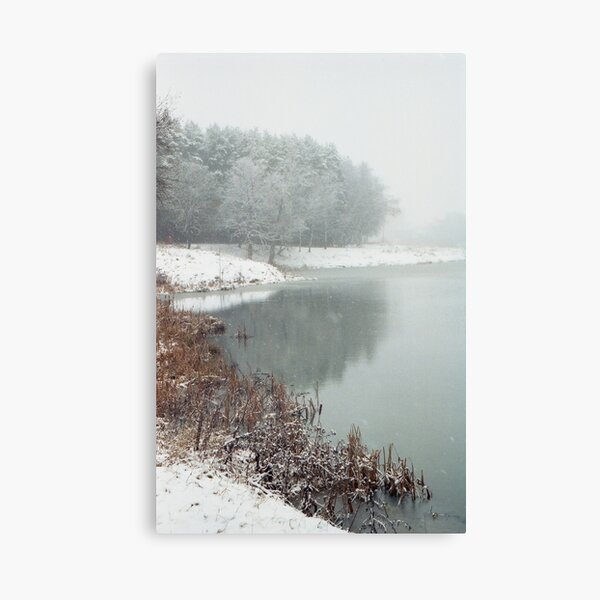 Winter Haiku Canvas Print