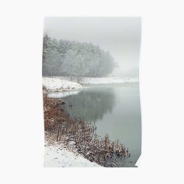 Winter Haiku Poster