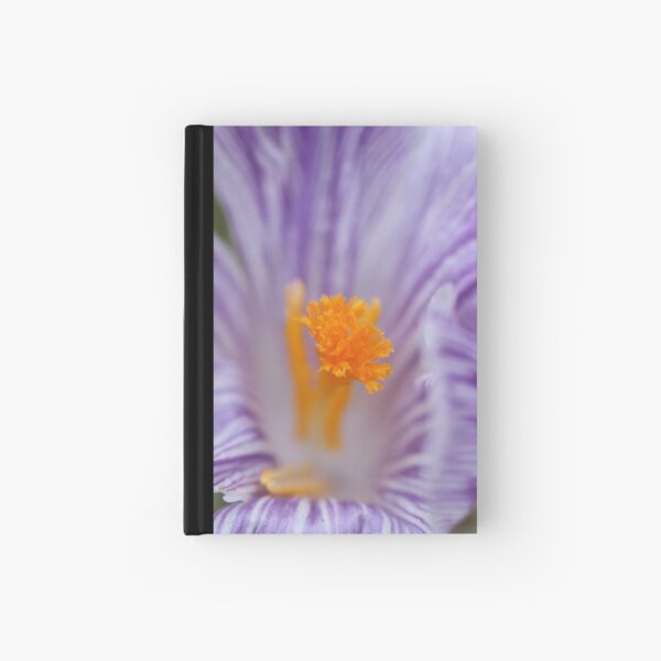 Crocus Close up #2 Hardcover Journal