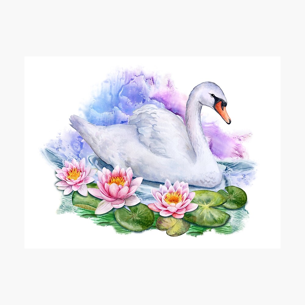 swan and lotus painting