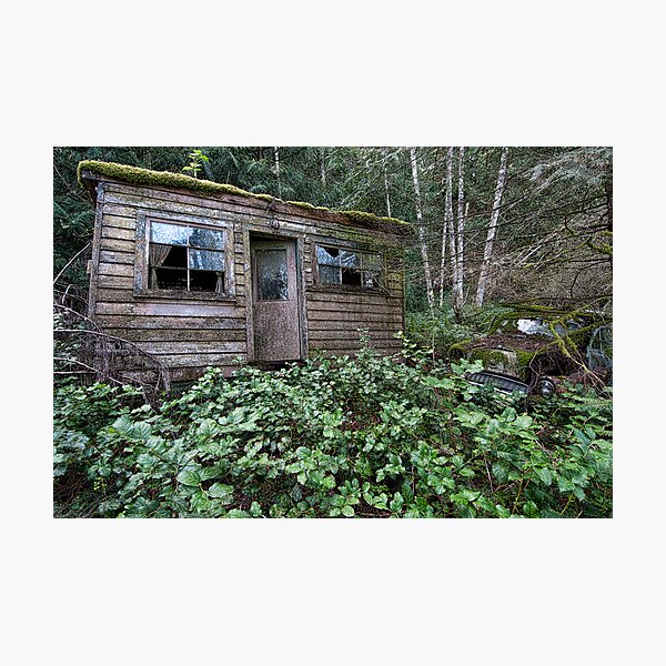 Shack in the Woods Photographic Print