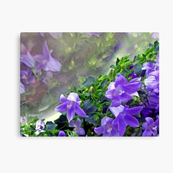 Reflections on a Dull Day Canvas Print