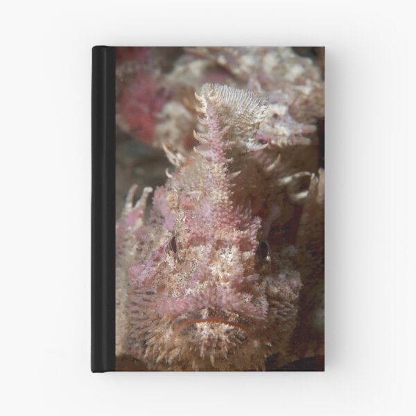 Item preview, Pink Velvet. designed and sold by James Peake Nature Photography..