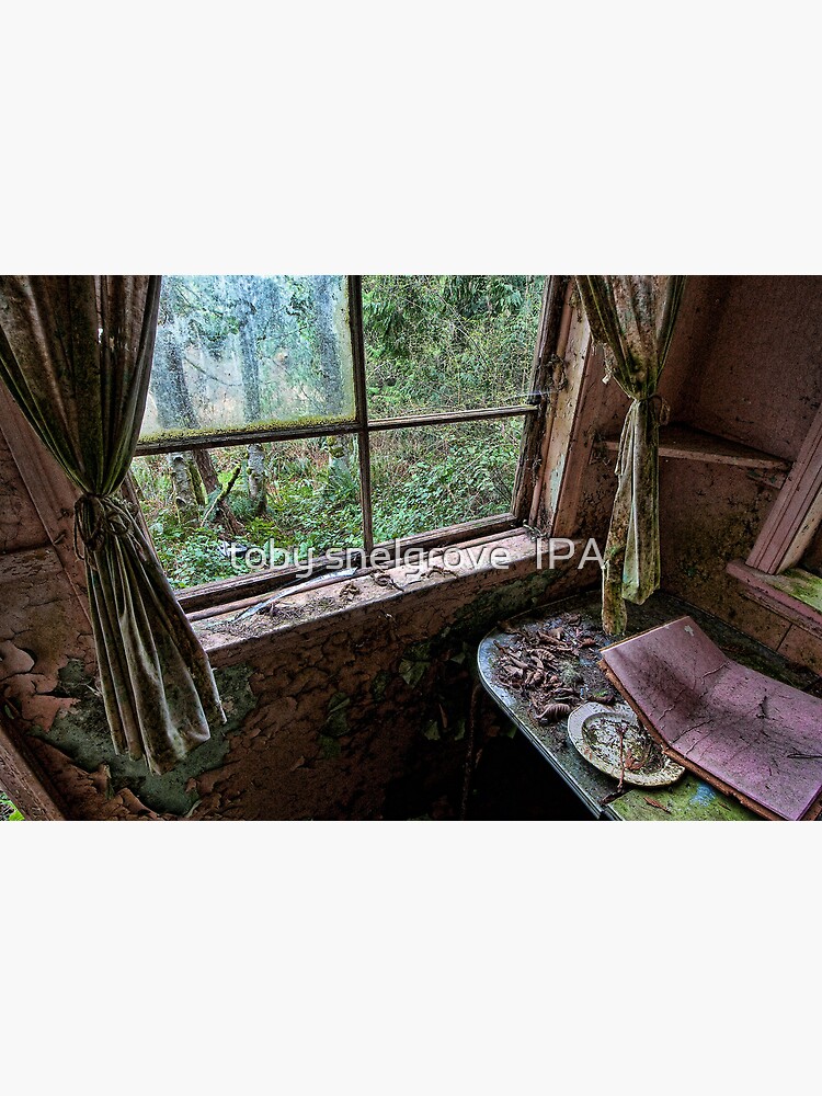 Shack in the Woods, Window by tobysnelgrove
