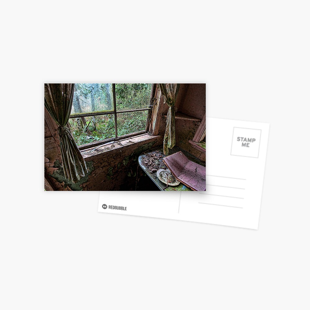 Shack in the Woods, Window Postcard