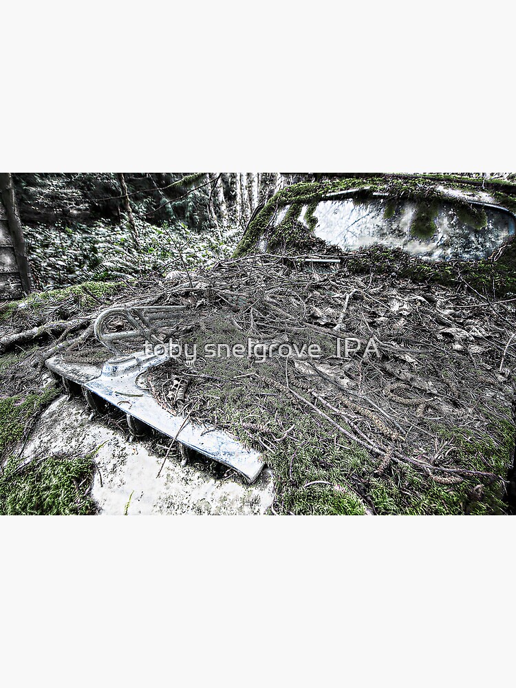 Car in the Woods, The Hood by tobysnelgrove