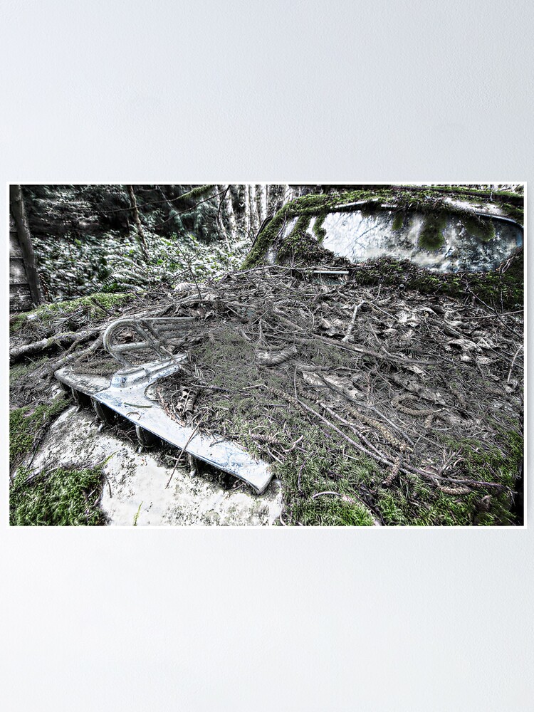 Alternate view of Car in the Woods, The Hood Poster