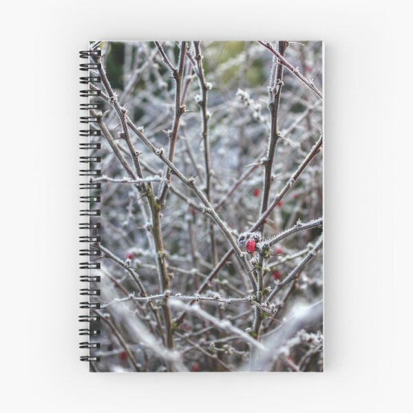 Item preview, Frosted Nature designed and sold by Vicki Spindler (VHS Photography).