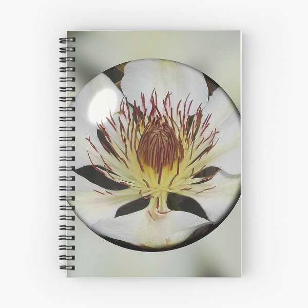 Item preview, Clematis Henryi in a Bubble designed and sold by lezvee.