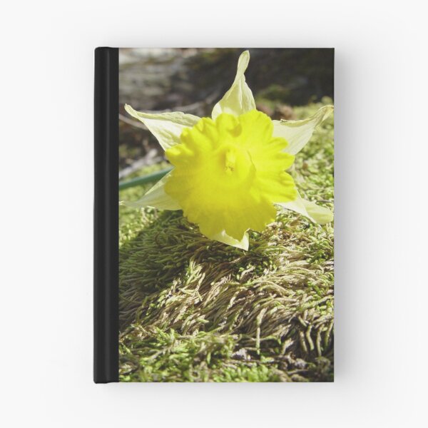 Artikelvorschau, Spring Hints entworfen und verkauft von RealPainter.