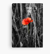 Always Remember Canvas Print