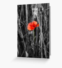 Always Remember Greeting Card