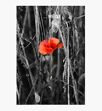 Always Remember Photographic Print
