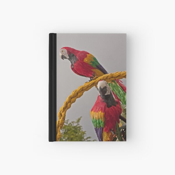 Parrots on parade Hardcover Journal