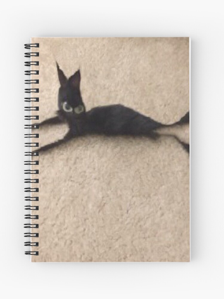 ✧確認用✧blue meme cat✧signature note book✧ 51VHvDCL28L._AC_UF350,