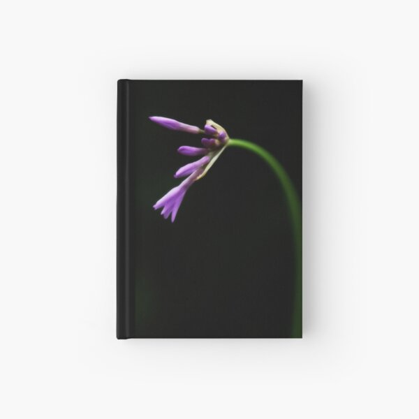 New Hardcover Journal