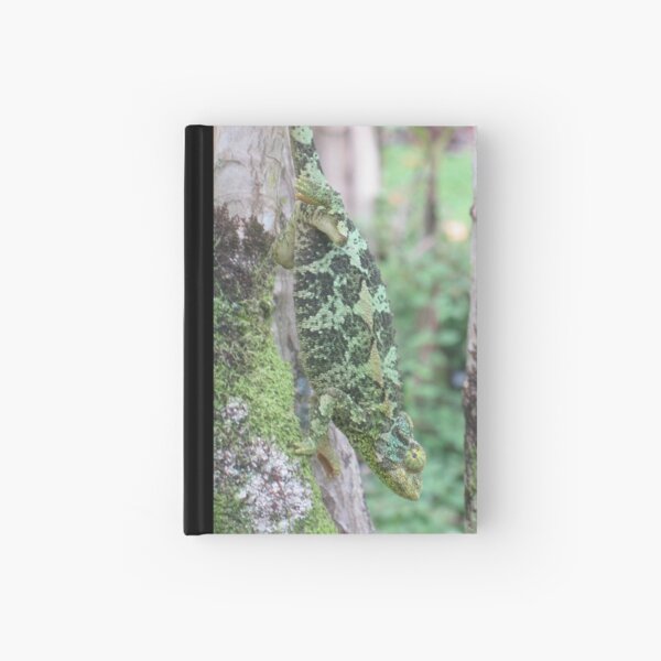 Natural Camouflage: Up Close with Jackson Hardcover Journal