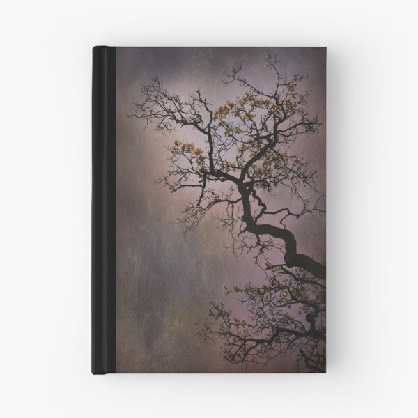 Item preview, Take It To The Limit designed and sold by Laurie Search Fine Art Photography.