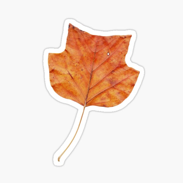 1 Blatt im Herbst Sticker