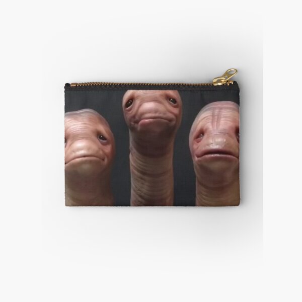 Item preview, Me And The Boys Meme designed and sold by BoomerUSA.
