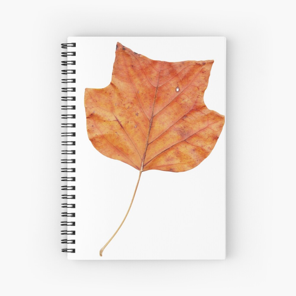 1 Blatt im Herbst Spiralblock
