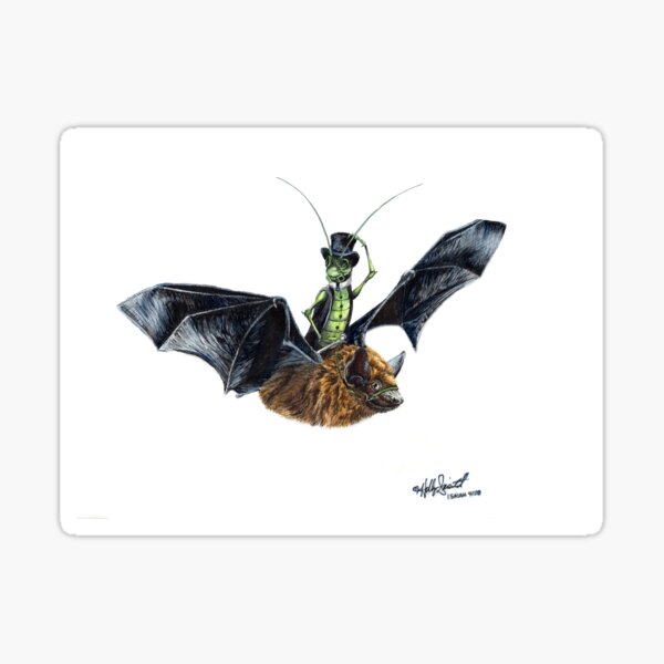 Rider in the Night - bat and cricket Sticker