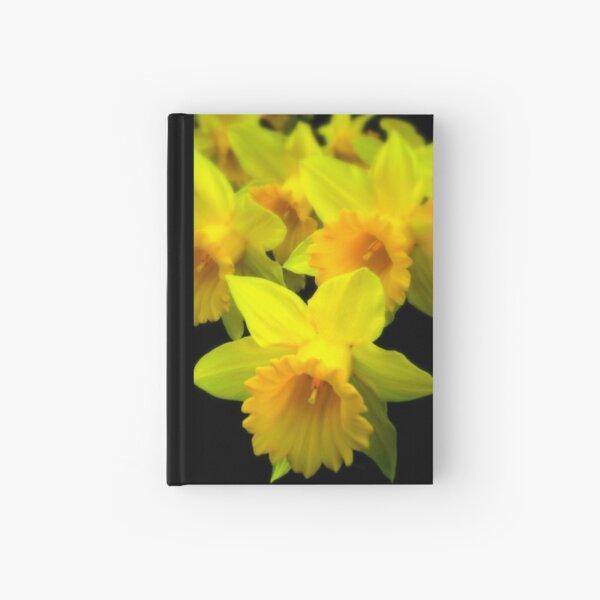 Gaze Hardcover Journal