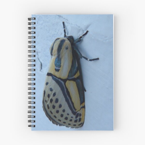 Item preview, design of the nature - diseño de la naturaleza designed and sold by Bernhard Matejka.