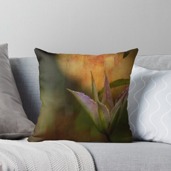 Item preview, Take Me There designed and sold by Robin Webster.