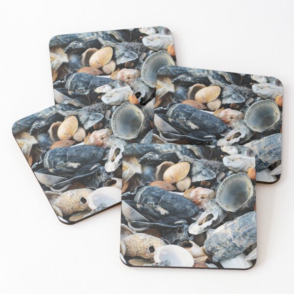 Item preview, Shells designed and sold by Lydia Planalp.