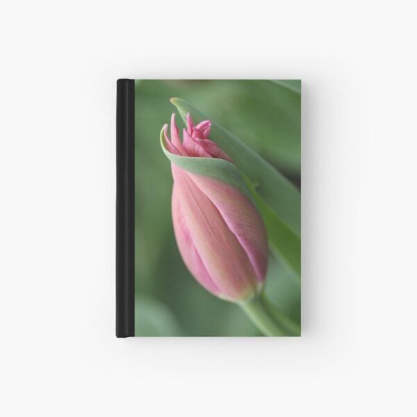 I Rest in Your Embrace Hardcover Journal