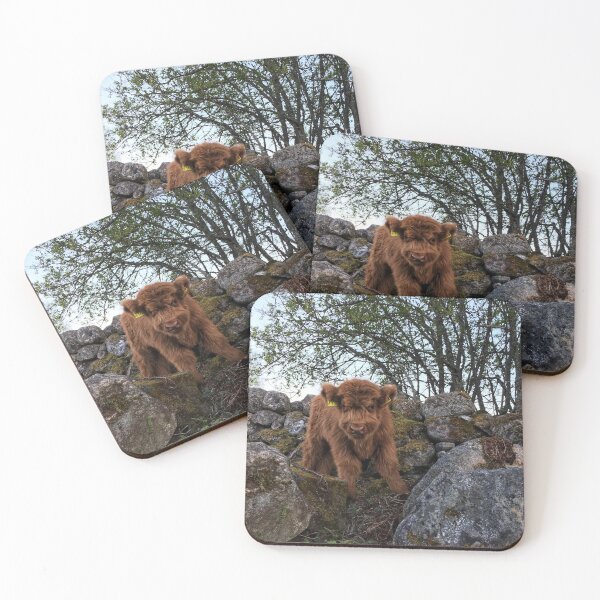 Item preview, Scottish Highland Cattle Calf 1758 designed and sold by SaarelaHighland.