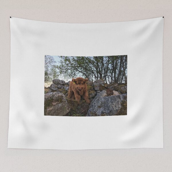 Item preview, Scottish Highland Cattle Calf 1758 designed and sold by SaarelaHighland.