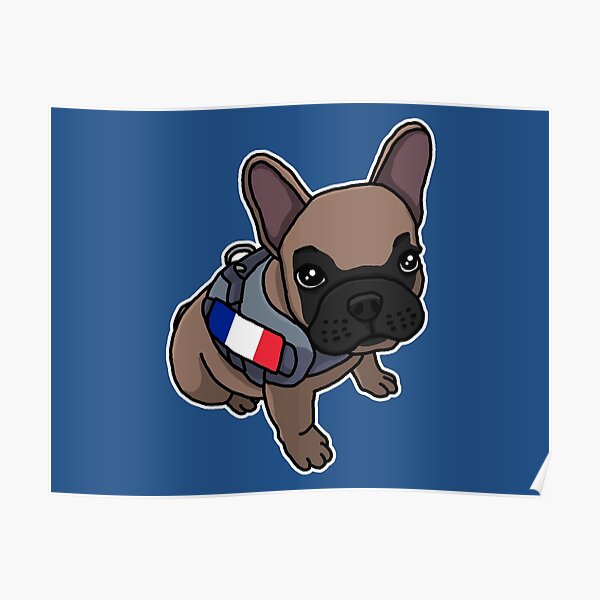 Franzosische Bulldogge T Shirt