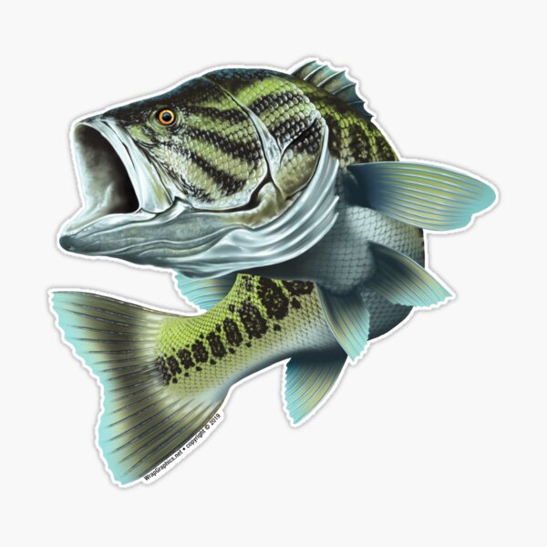 Lake Bass Sticker for Sale by tjbrock2