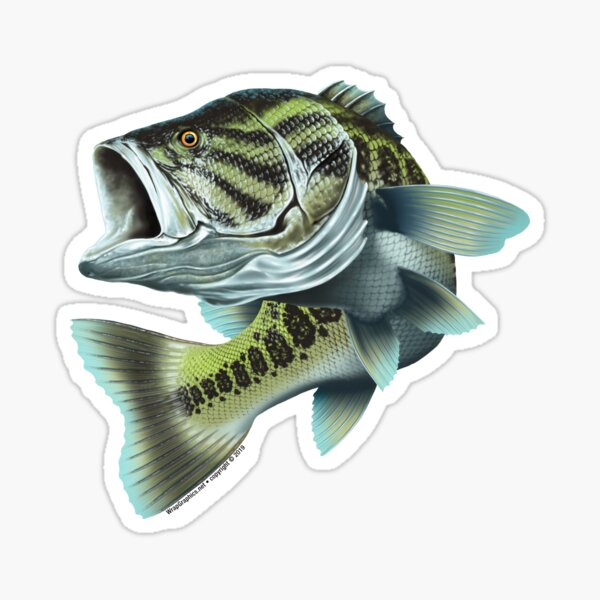  Large Mouth Bass Beautiful Fish Decal Fishing decal