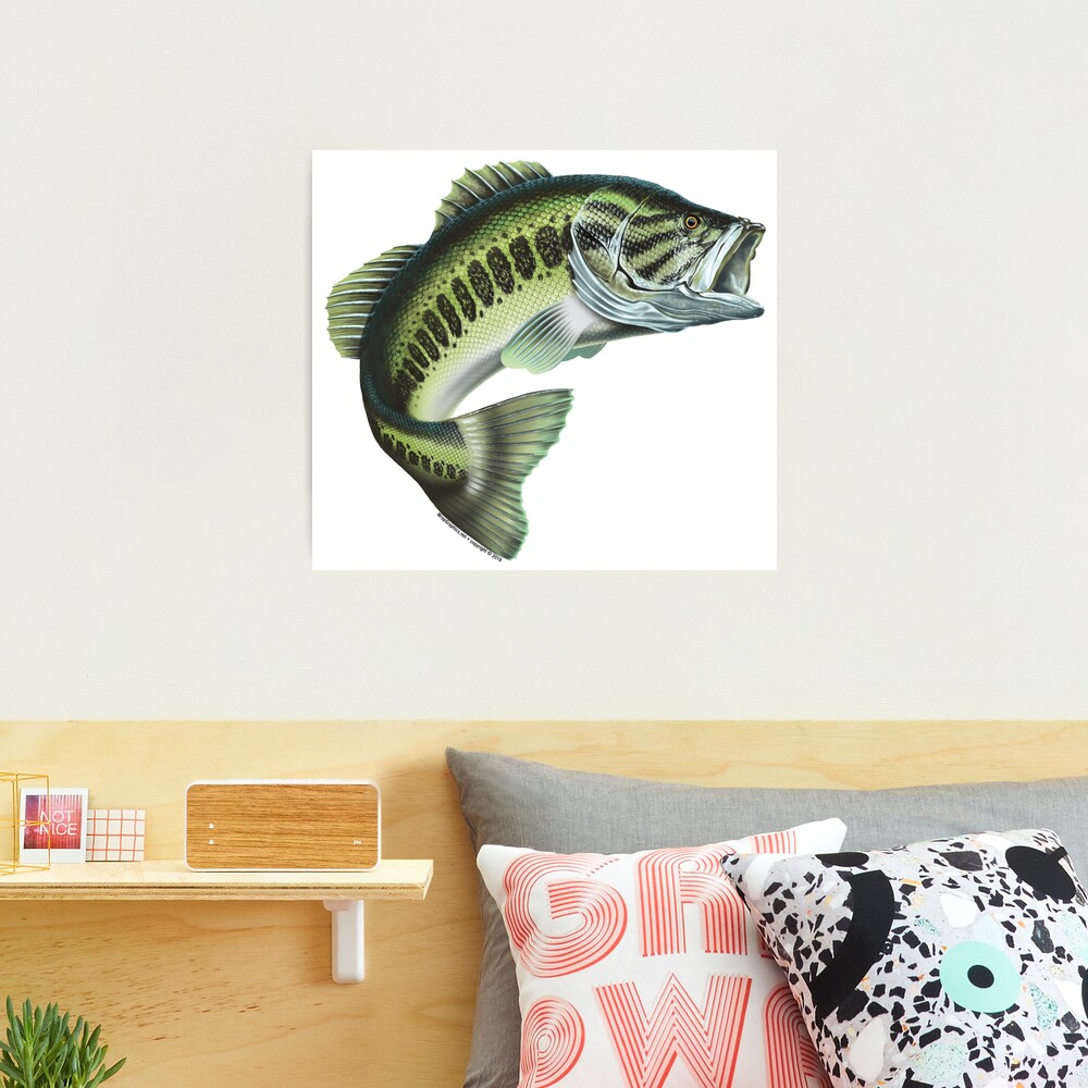 Largemouth Bass #3 Photographic Print for Sale by wrapgraphics