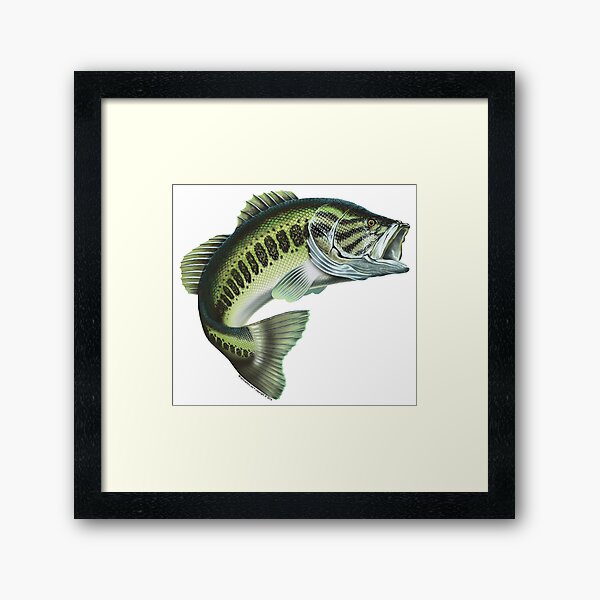 Largemouth Bass #3 Art Print for Sale by wrapgraphics