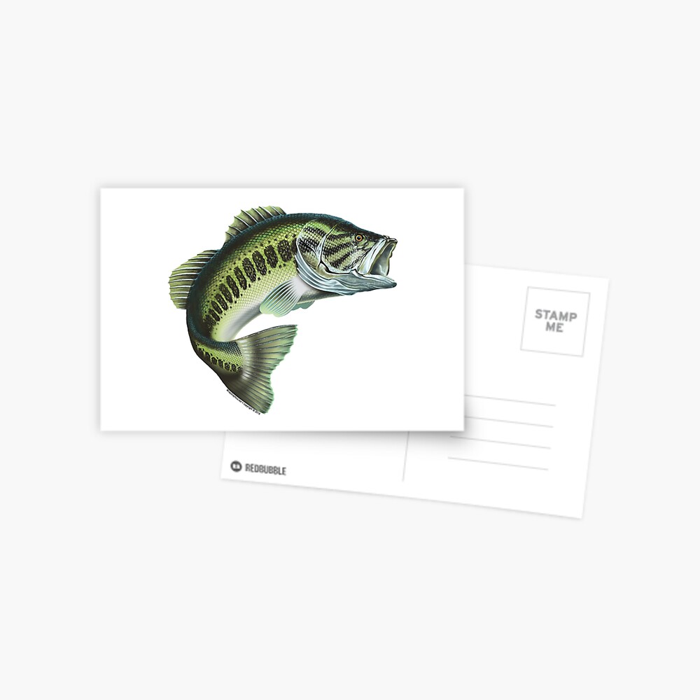 Largemouth Bass #3 Photographic Print for Sale by wrapgraphics