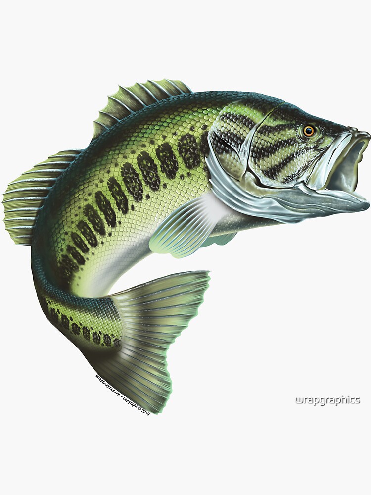 Largemouth Bass Fishing Sticker for Sale by wrapgraphics