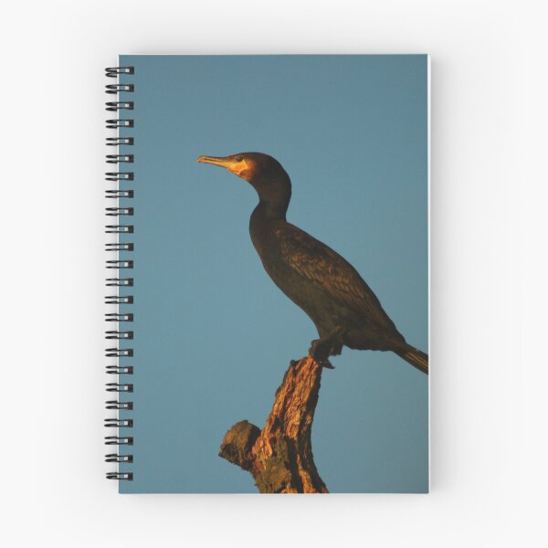 Item preview, Cormorant designed and sold by Jo Lodge.