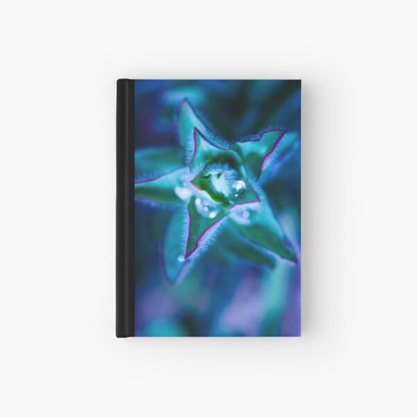found water in a star Hardcover Journal